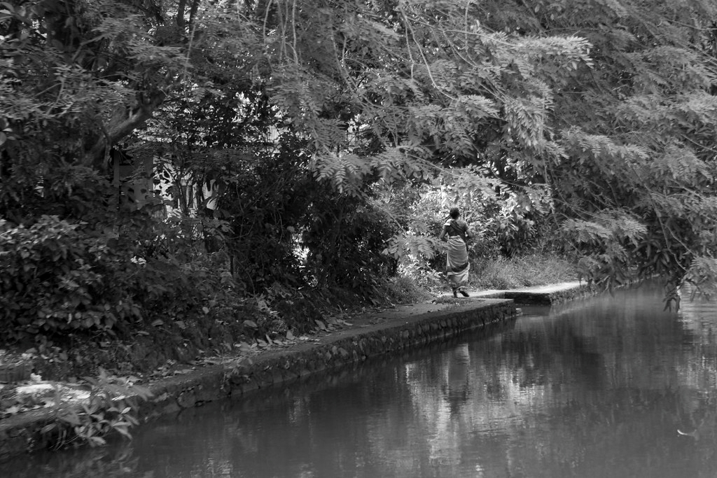 ‘She Never Said Let It Be’